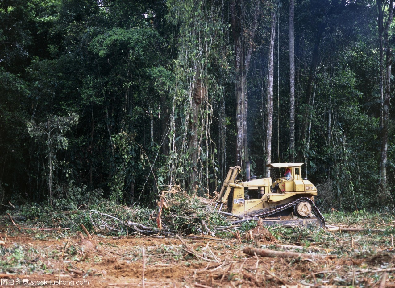 失控的亚马逊雨林，可能反过来助长全球变暖_科普中国网